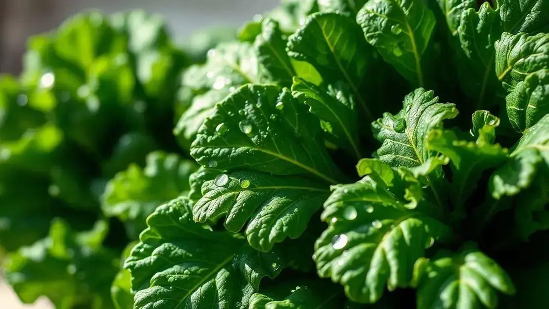 Couve: o superalimento que transforma suas saladas